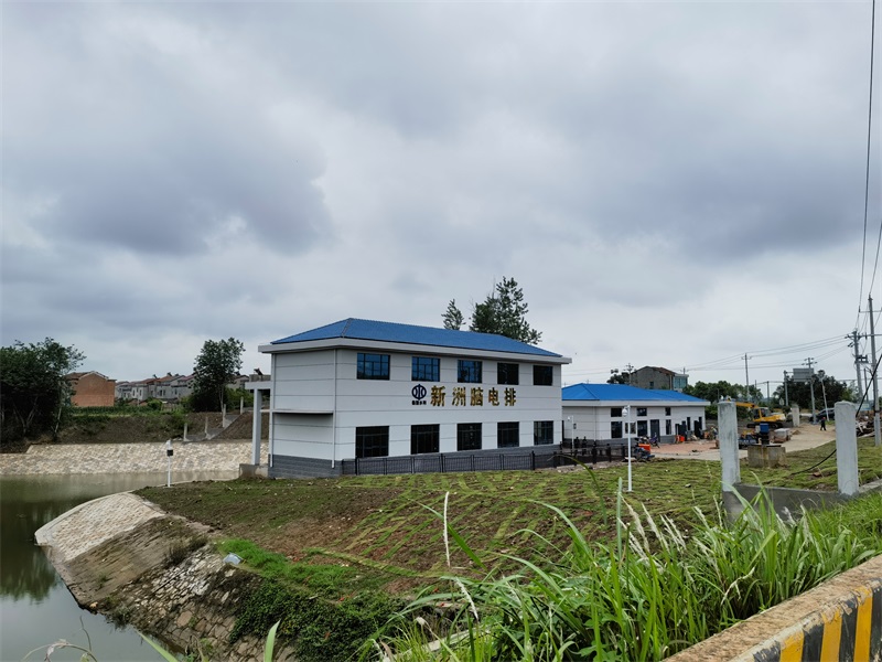 臨湘新洲腦電排項目