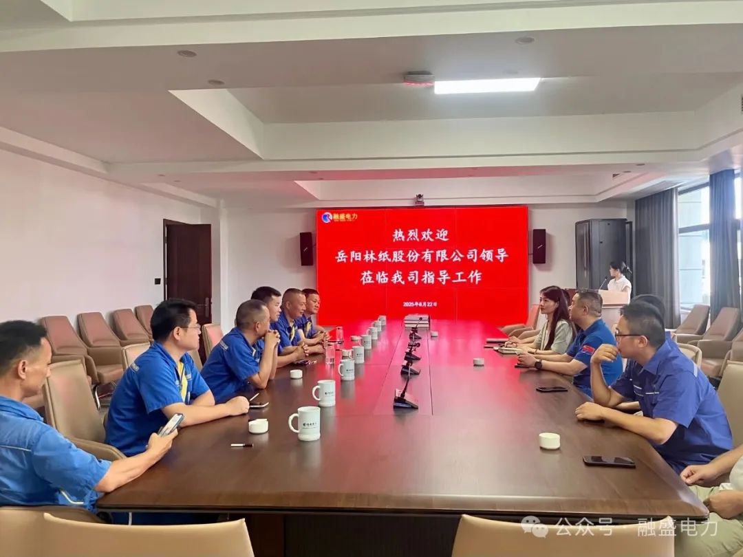 岳陽林紙股份有限公司領導與電氣方面專家蒞臨融盛電力集團考察交流